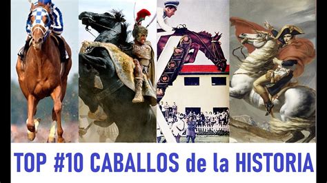 10 caballos de la historia.